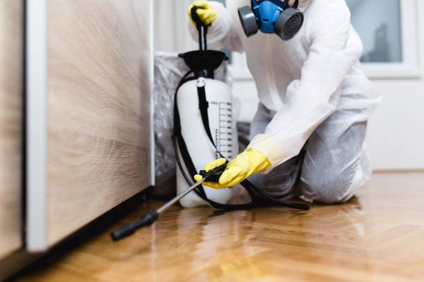 Best Pest Prevention Services  in Robesonia, PA