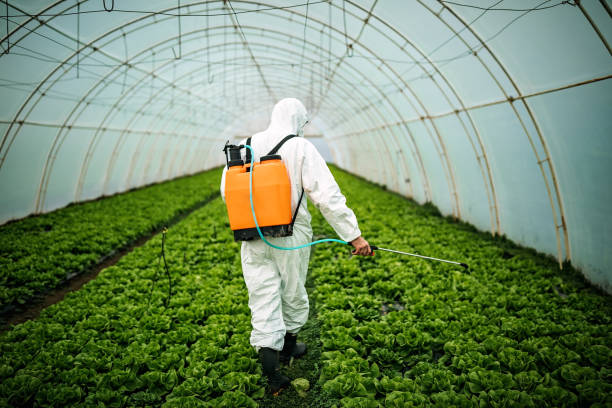 Best Ant Control Services  in Robesonia, PA