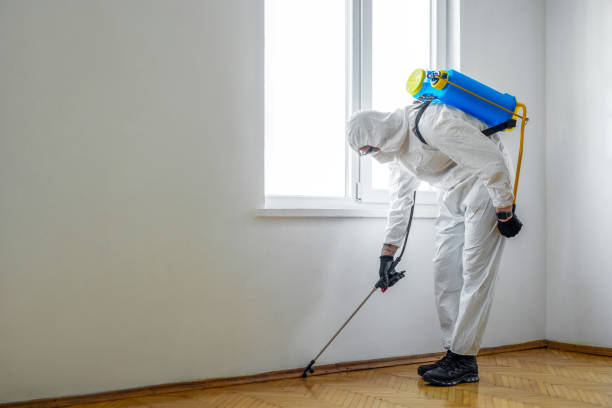 Best Pest Control for Homes  in Robesonia, PA