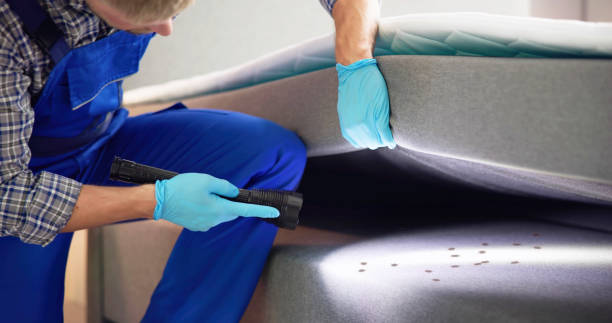 Best Flea Control Services  in Robesonia, PA