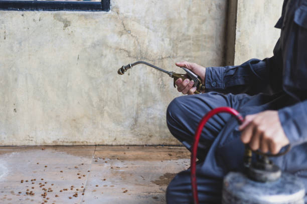 Best Pest Control Cost  in Robesonia, PA